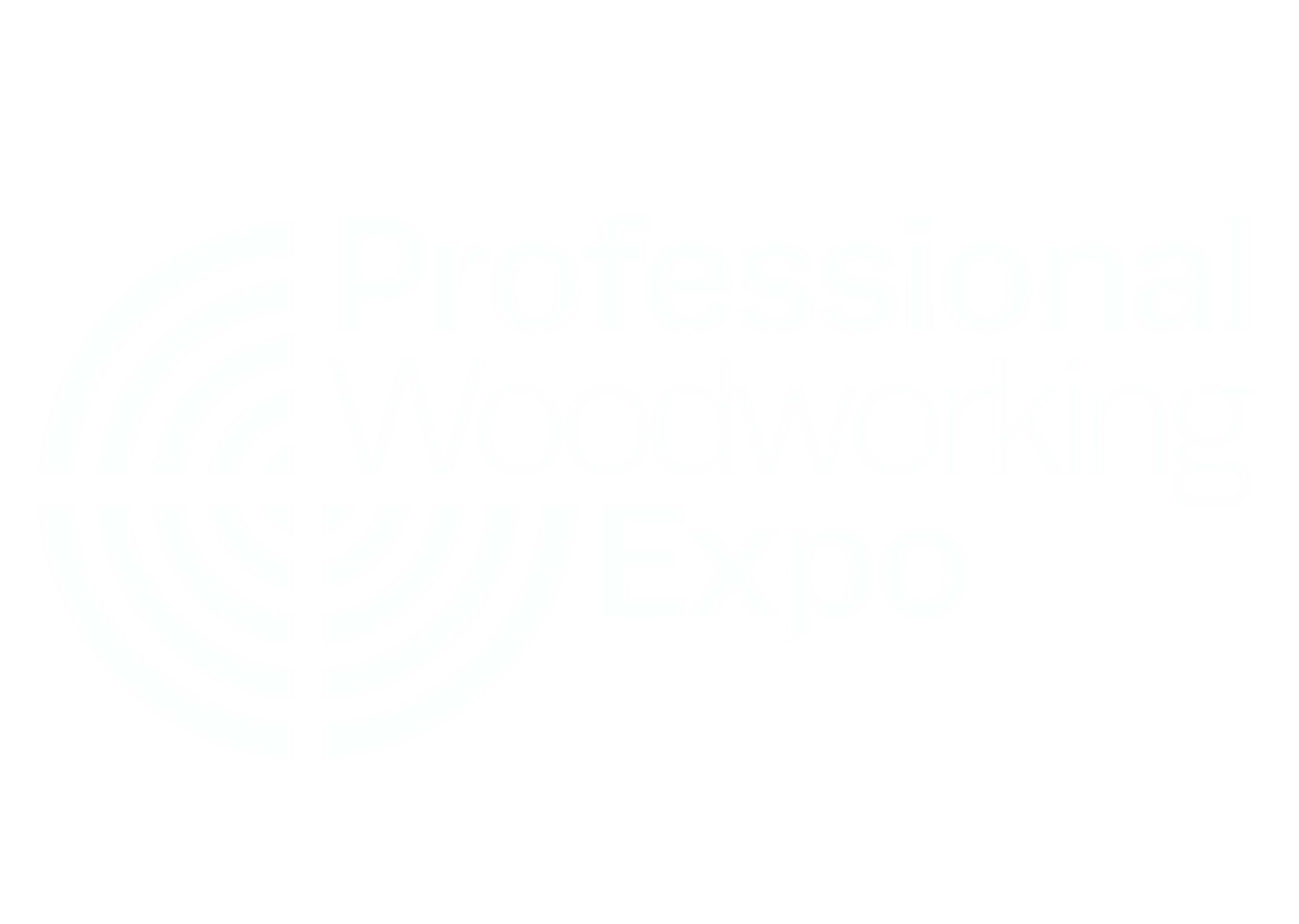 PWExpo Logo 300x250
